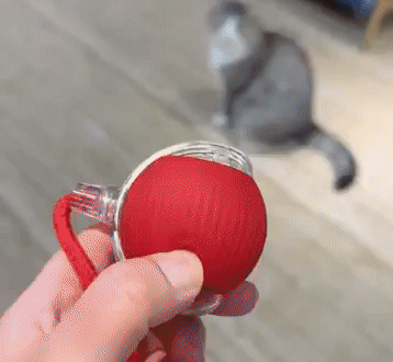 RollieFloof v2